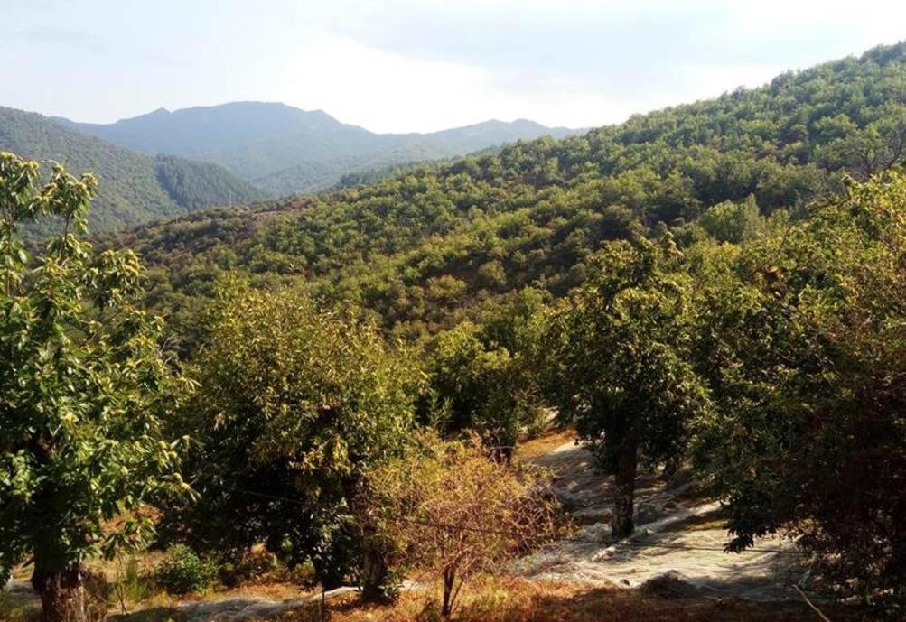 Gite De Fontfouillouse Les Plantiers Kültér fotó